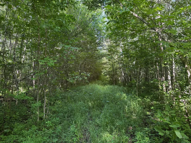 $84,900 | 40 A Bridgie Road, Northome, MN 56661