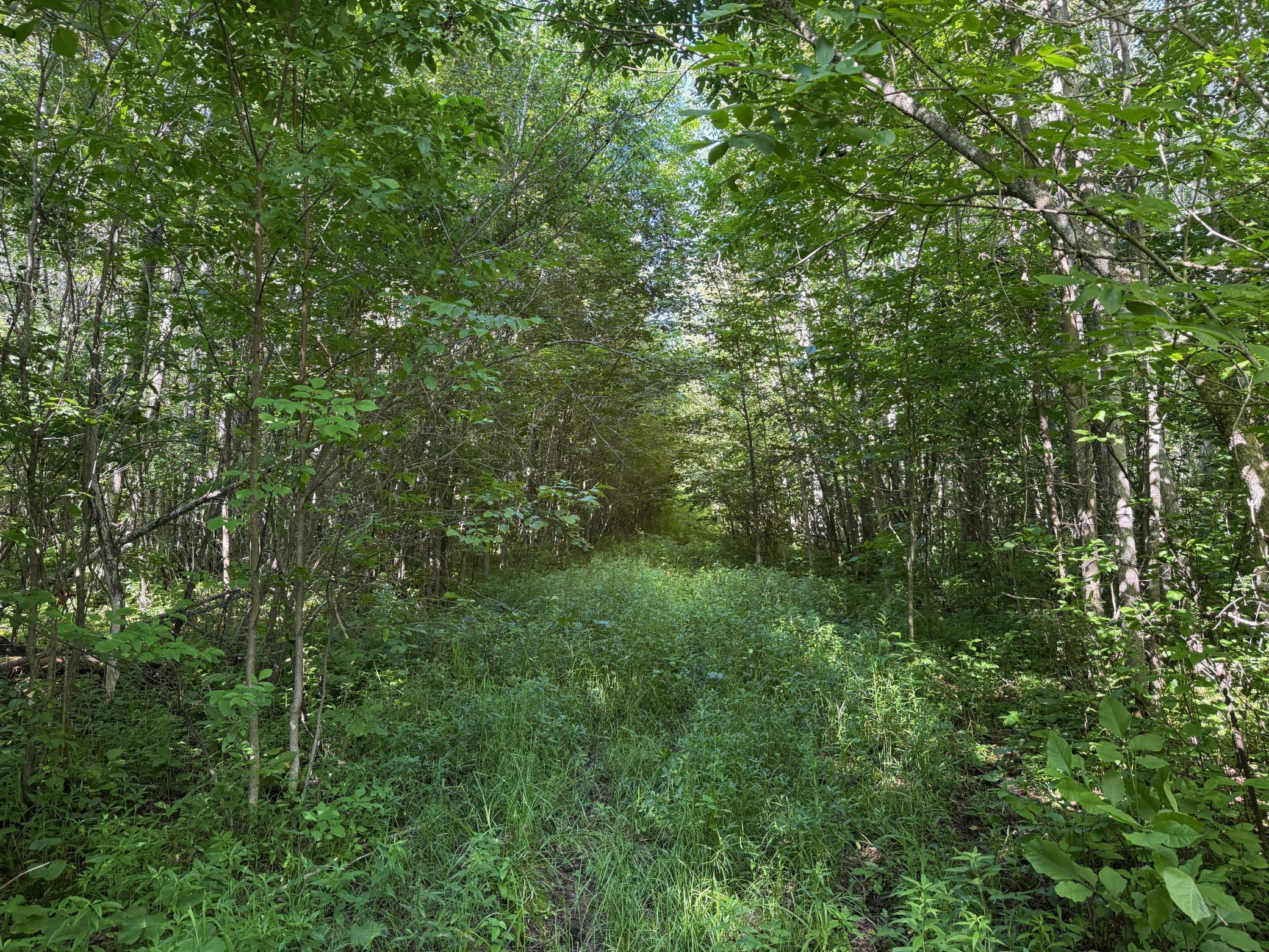 40 A Bridgie Road Northome, MN 56661 - Photo 7 of 10