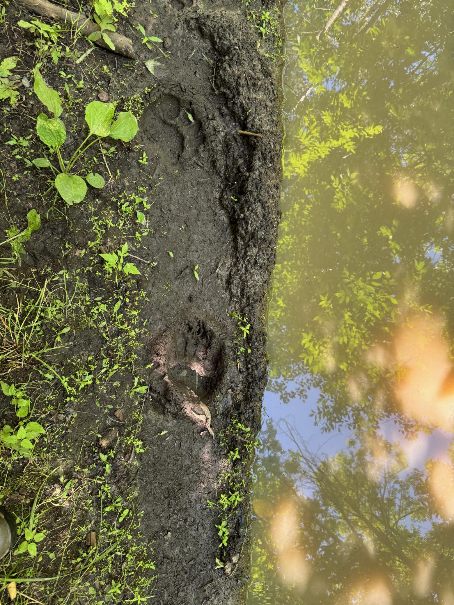 40 A Bridgie Road Northome, MN 56661 - Photo 8 of 10