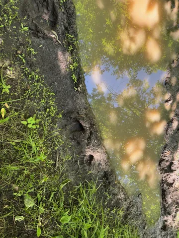 $84,900 | 40 A Bridgie Road, Northome, MN 56661