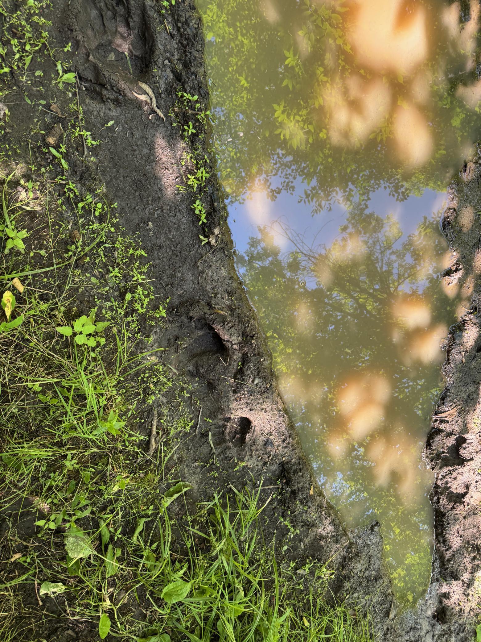 40 A Bridgie Road Northome, MN 56661 - Photo 9 of 10