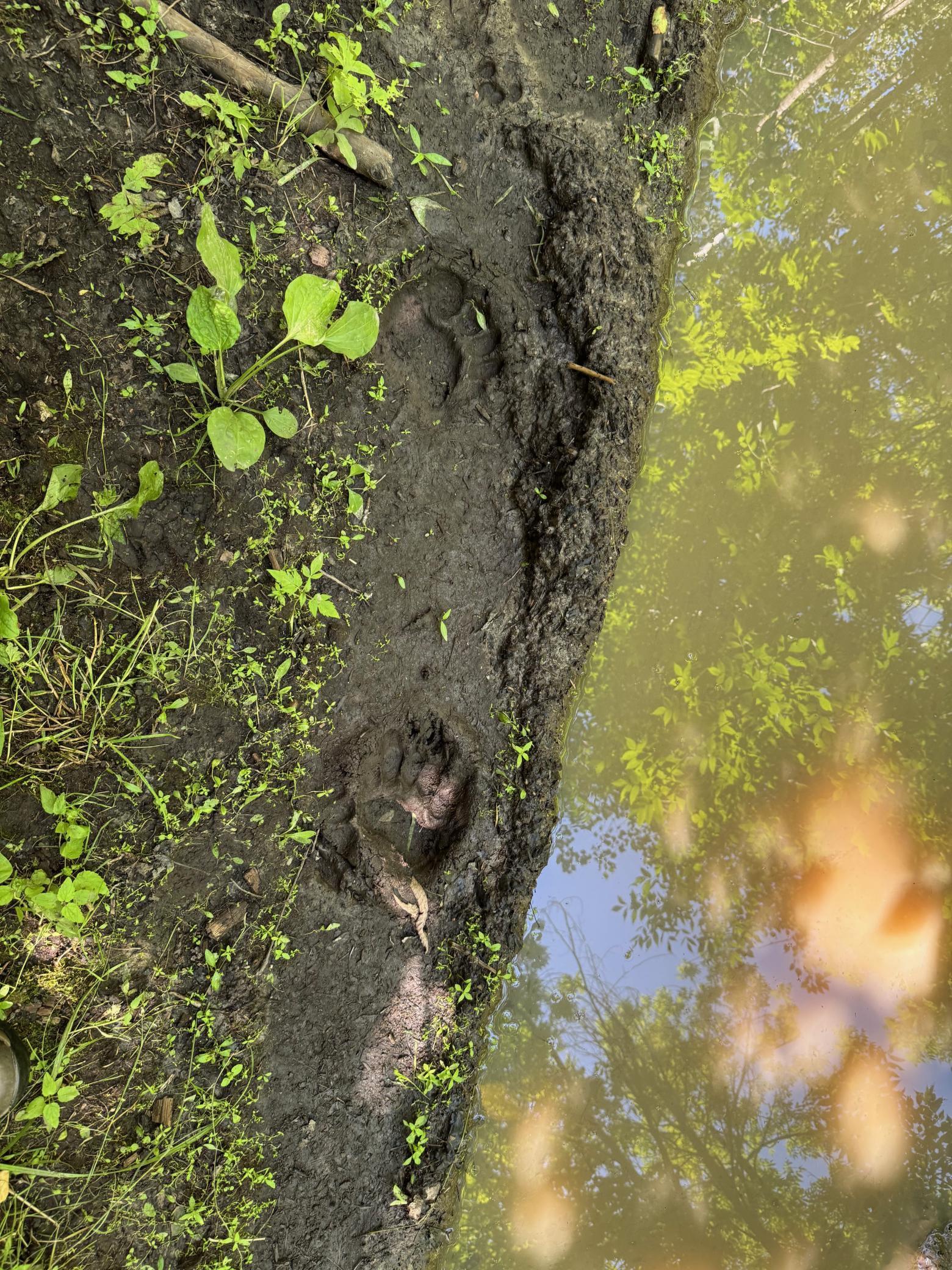 40 A Bridgie Road Northome, MN 56661 - Photo 10 of 10