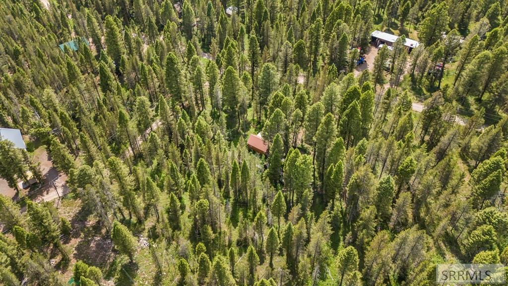 4132 Beaver Springs Road Island Park, ID 83429 - Photo 32 of 34