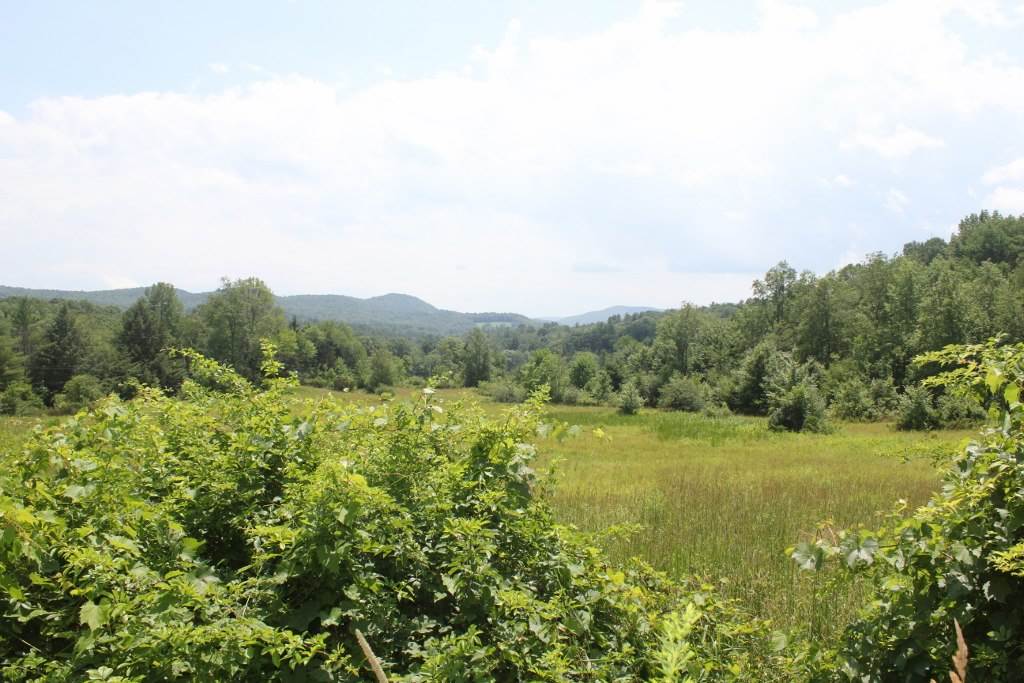 3 Poppe Road Springfield, VT 05156 - Photo 2 of 20