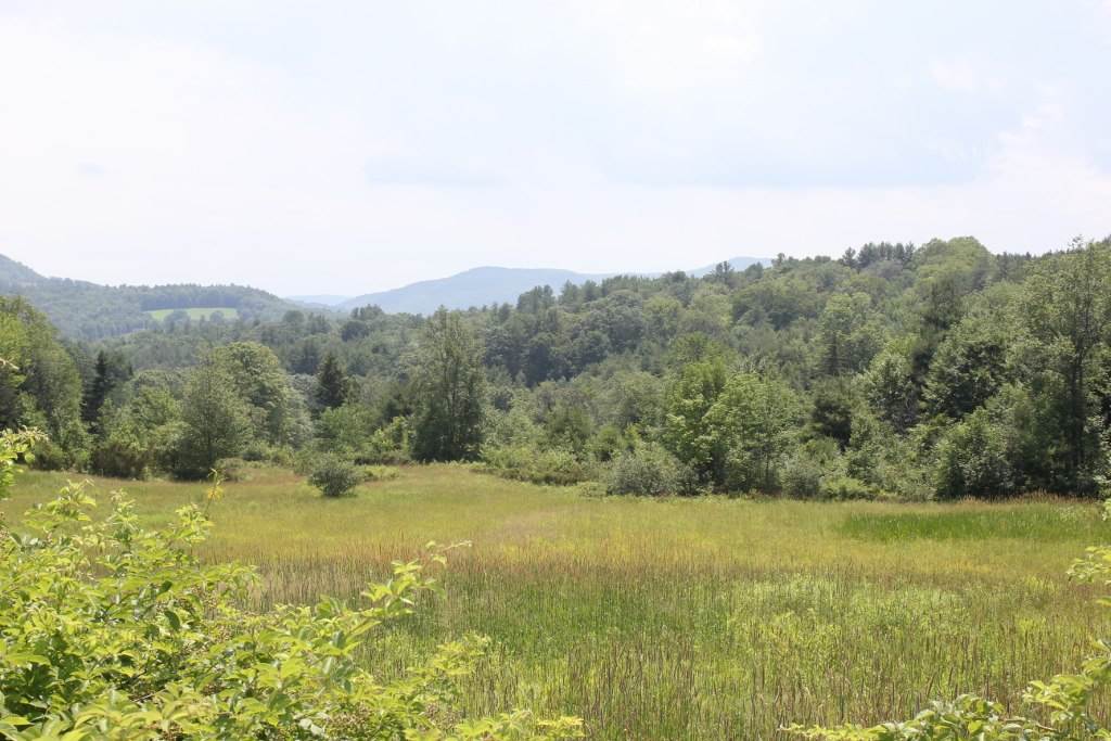 3 Poppe Road Springfield, VT 05156 - Photo 4 of 20
