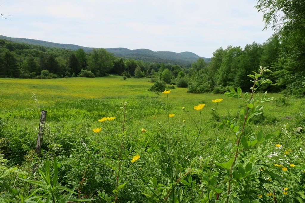 3 Poppe Road Springfield, VT 05156 - Photo 8 of 20