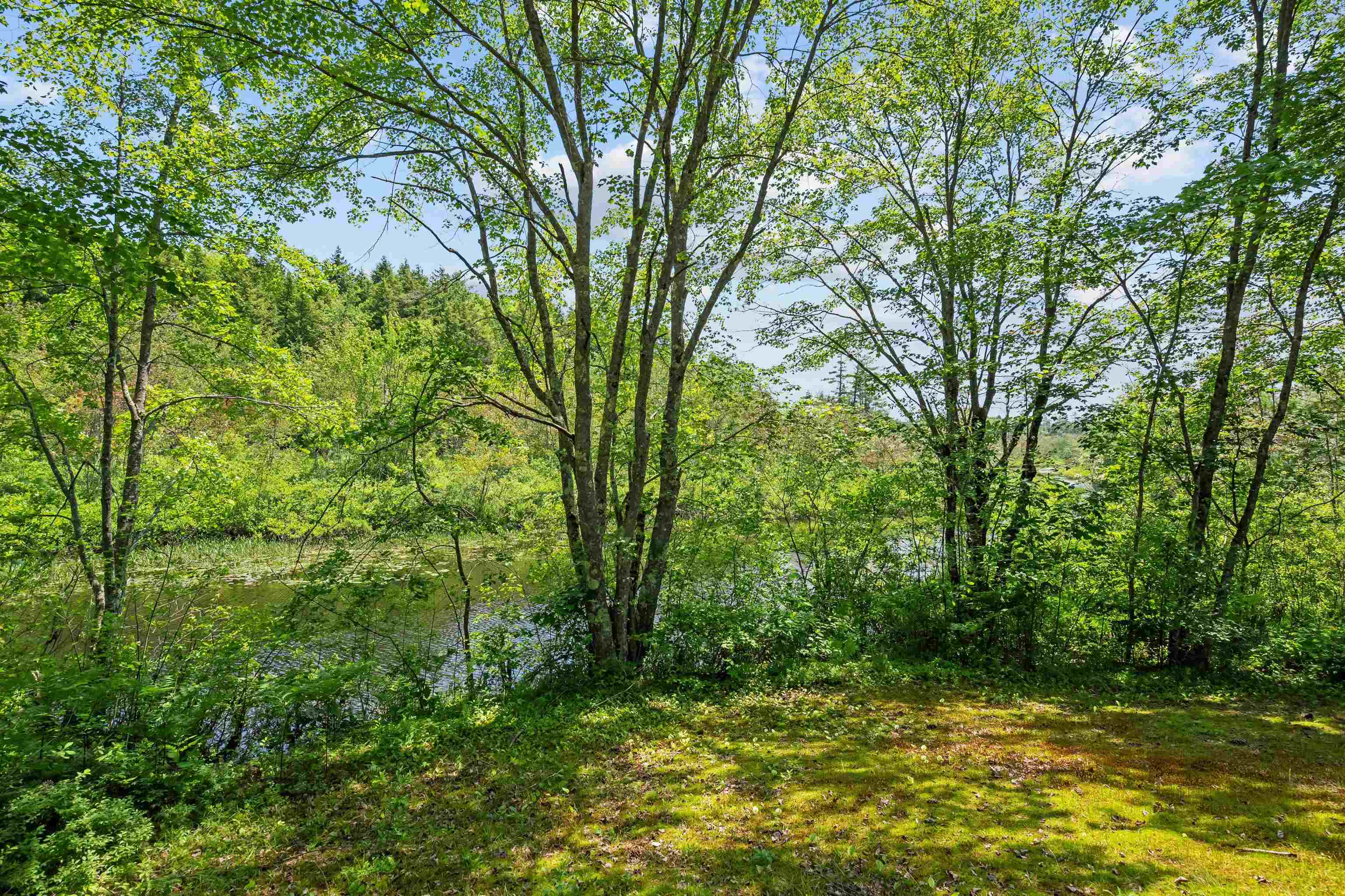 445B Stage Road, Unit 1 Sanbornton, NH 03269 - Photo 29 of 37