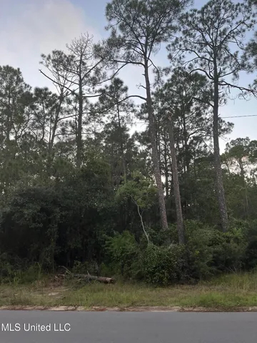 $15,000 | 0 Greenwood Drive, Pass Christian, MS 39571