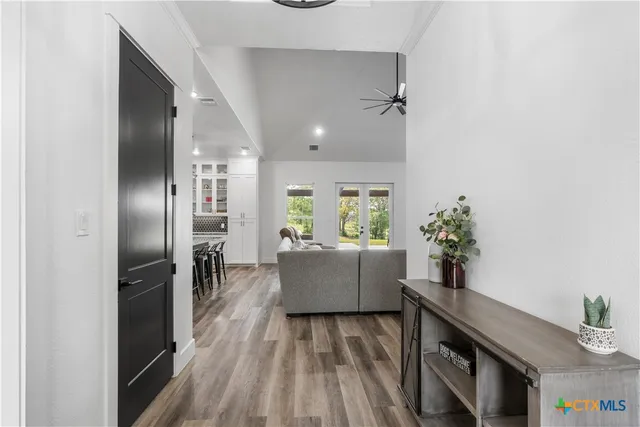 a room with furniture and a potted plant