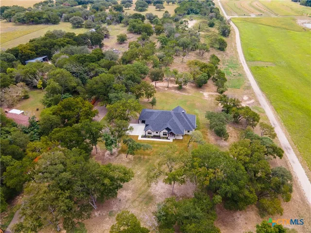 a view of a yard with plants