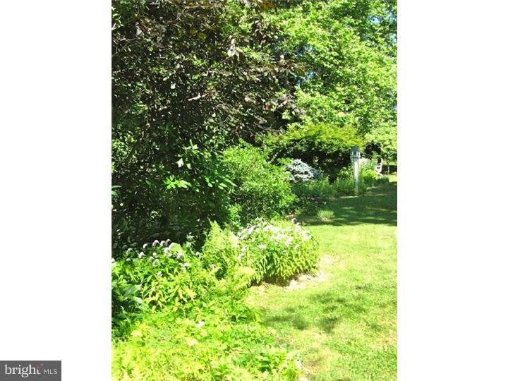 1654 Pughtown Road Phoenixville, PA 19460 - Photo 21 of 23 Back Yard