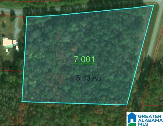 113 County Road, Unit 5 43 Lineville, AL 36266 - Photo 4 of 4