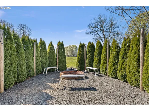 a view of a backyard with plants and trees