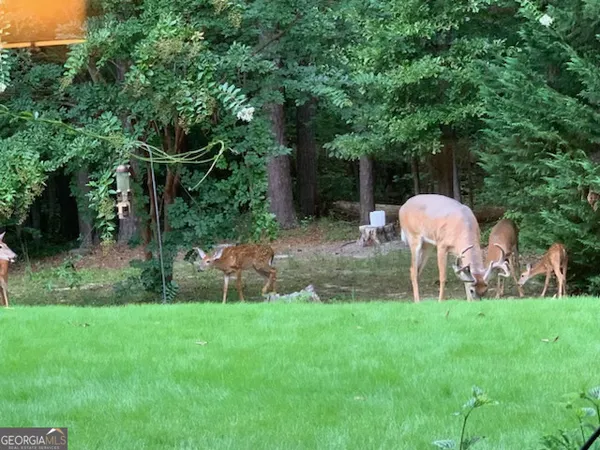 $240,000 | 818 Ridgefield Drive, Peachtree City, GA 30269