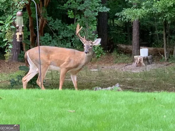 $240,000 | 818 Ridgefield Drive, Peachtree City, GA 30269