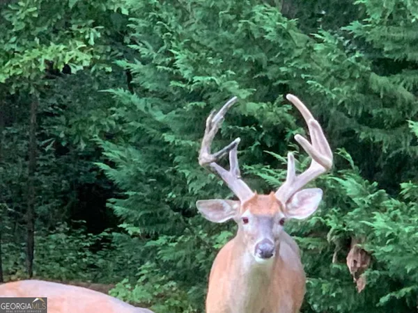 $240,000 | 818 Ridgefield Drive, Peachtree City, GA 30269