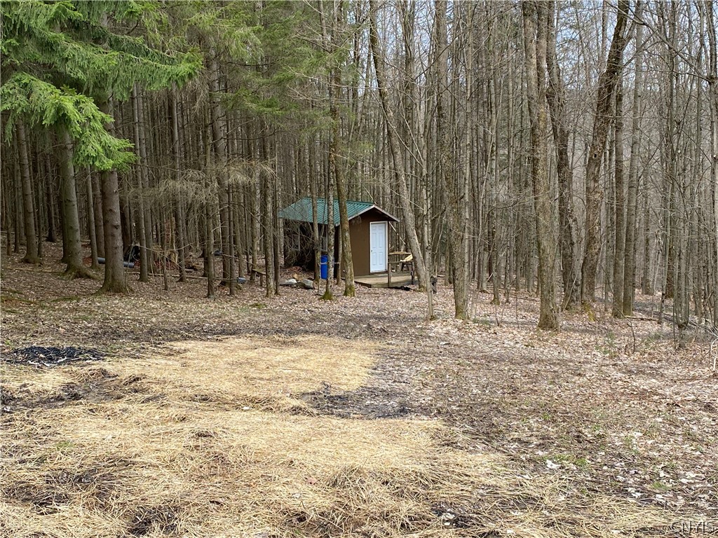 0 Midlum Road Truxton, NY 13158 - Photo 1 of 1 Gallery Image 1