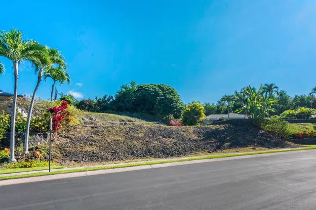 a view of a garden with a pathway