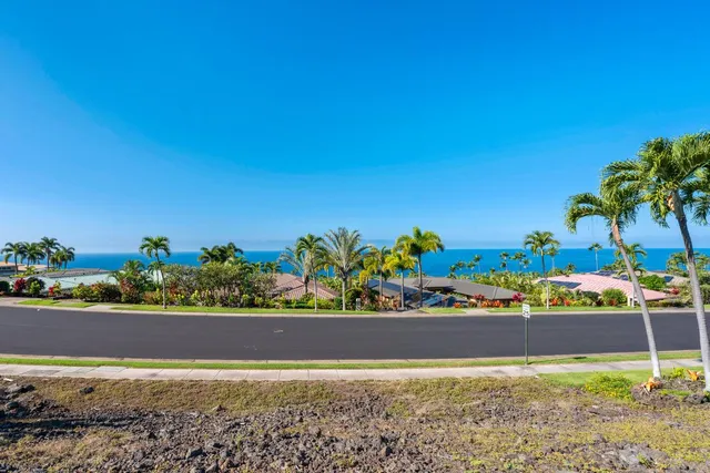 front view of a flowers