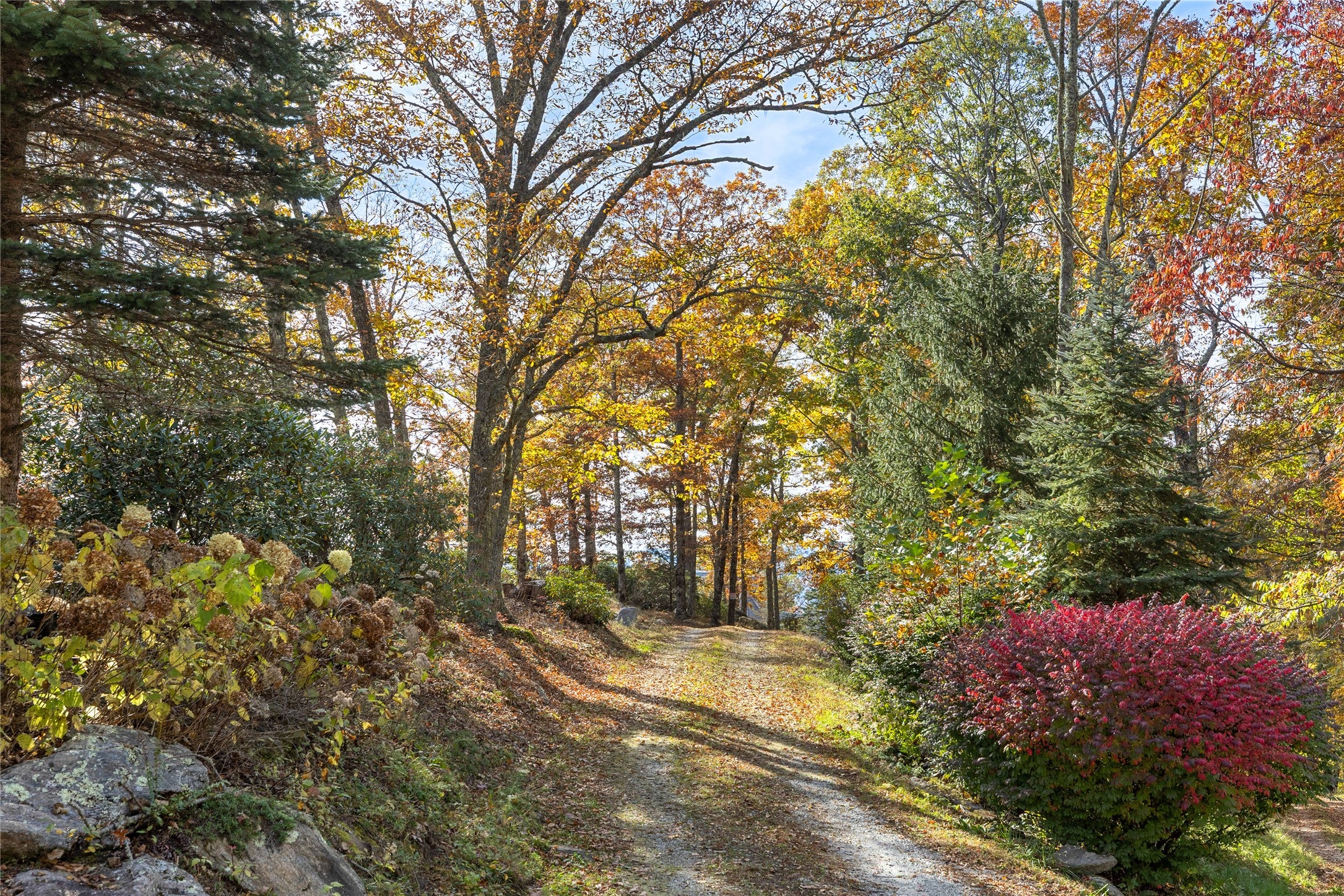 6681 Big Ridge Road Glenville, NC 28736 - Photo 81 of 92 Gallery Image 81