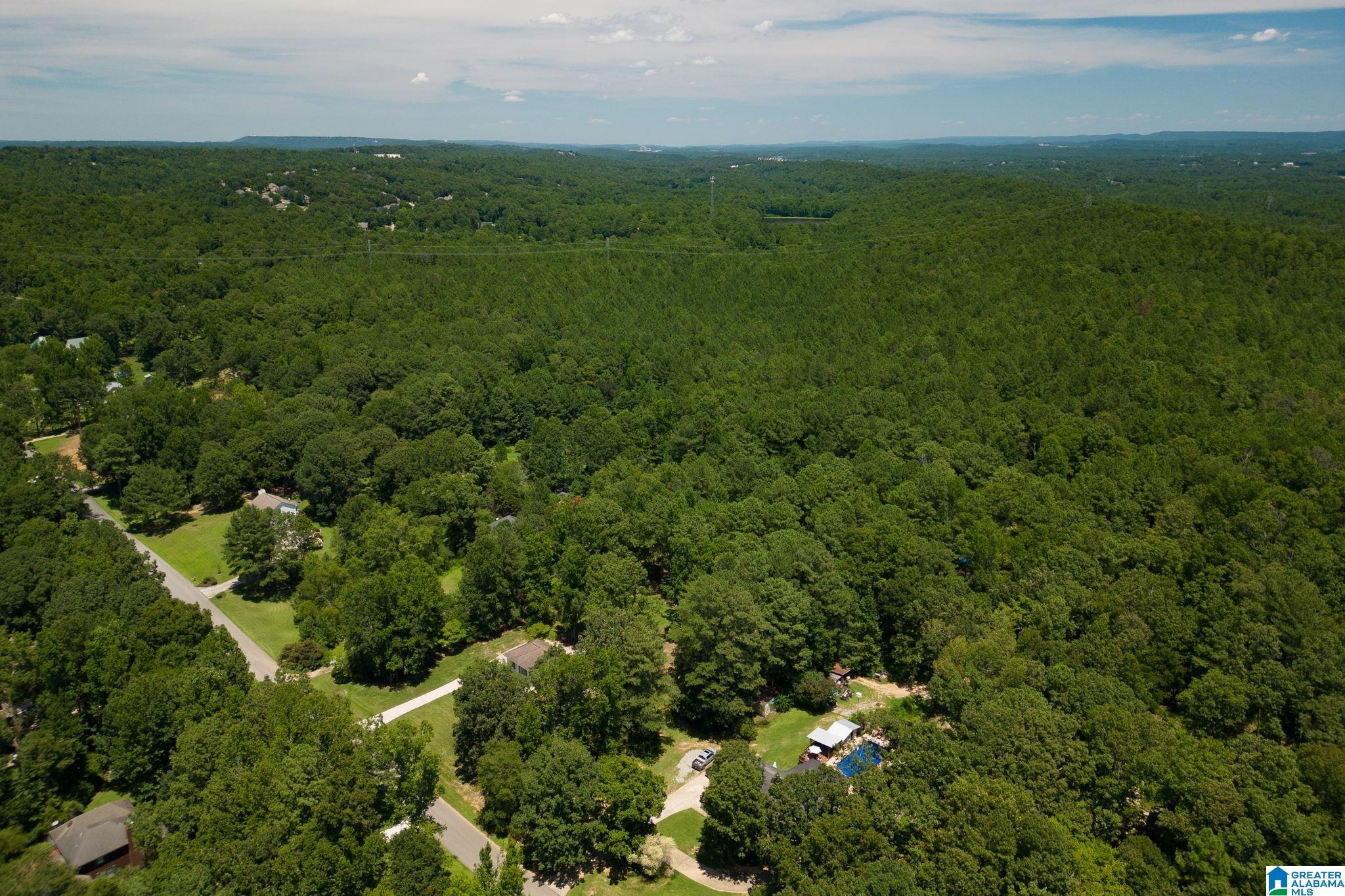 132 Chestnut Lane Helena, AL 35080 - Photo 52 of 59