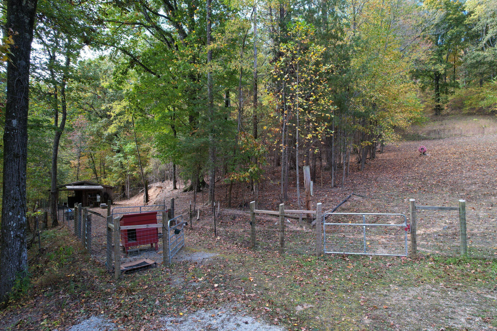 466 Hays Hollow Road Flintstone, GA 30725 - Photo 35 of 51 9-web-or-mls-DJI_0515