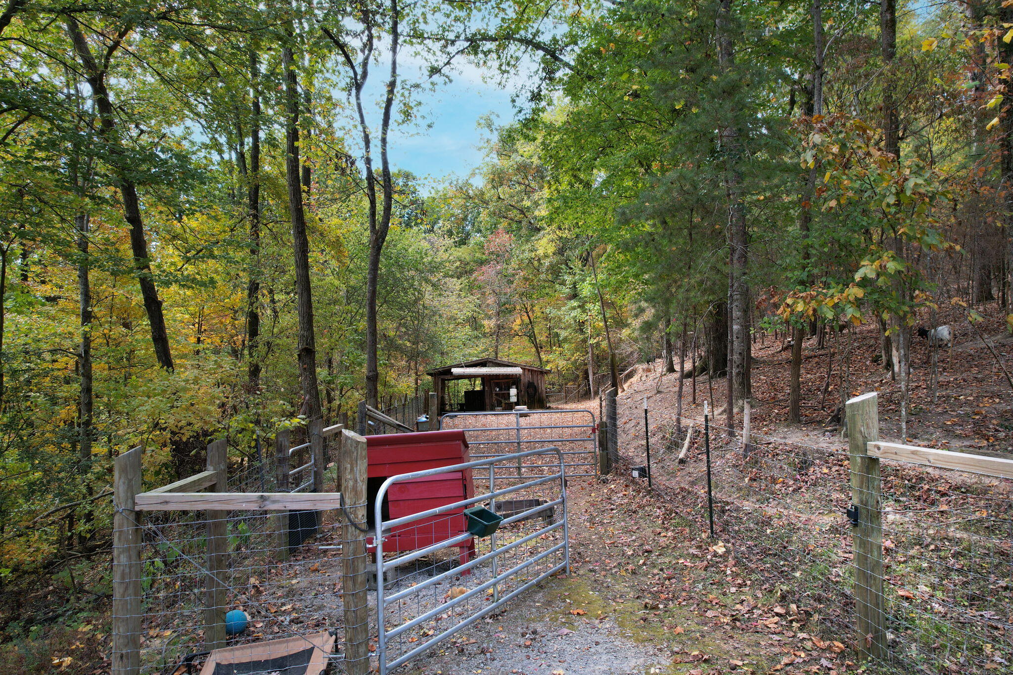466 Hays Hollow Road Flintstone, GA 30725 - Photo 37 of 51 8-web-or-mls-DJI_0514