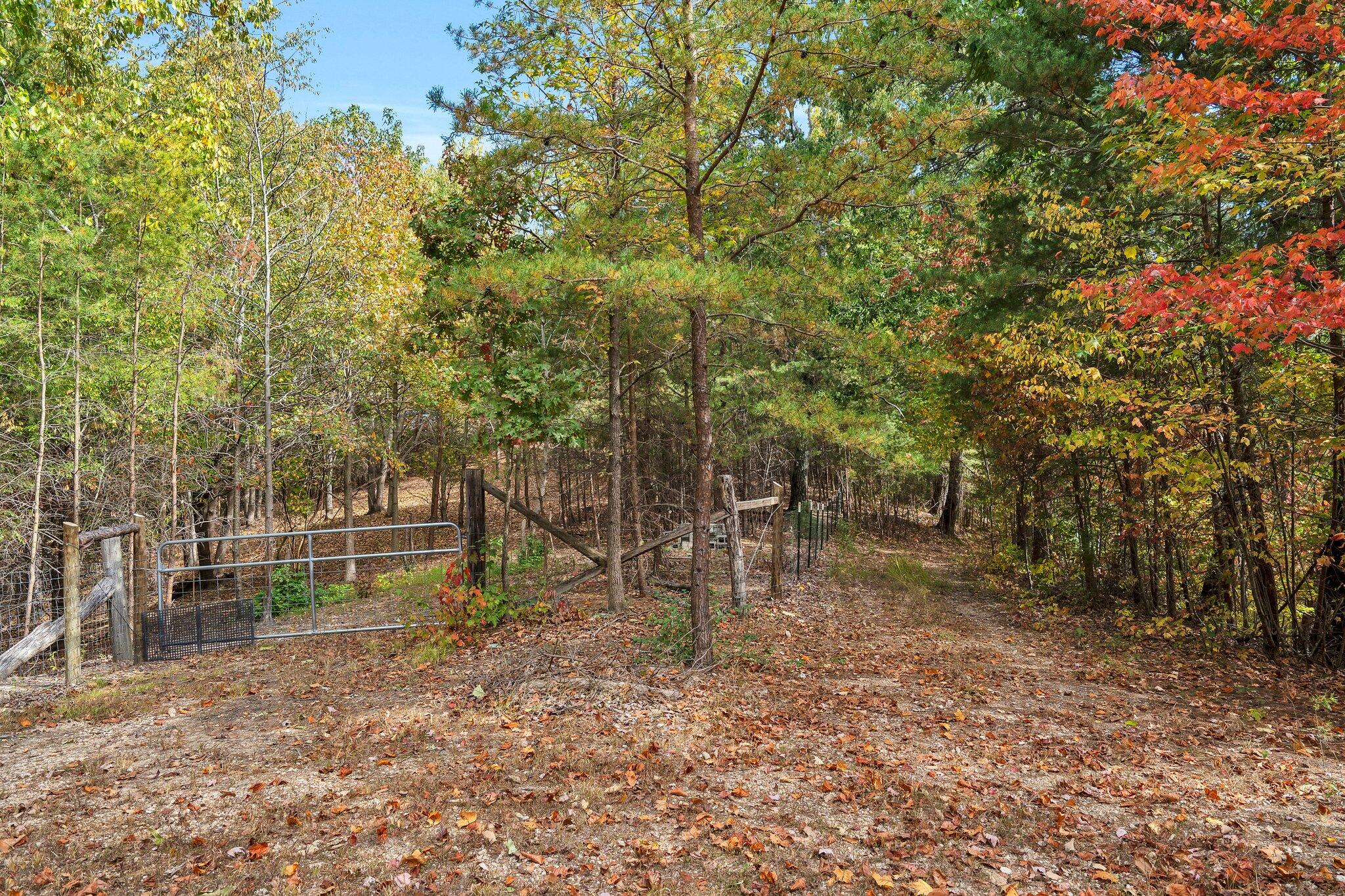 466 Hays Hollow Road Flintstone, GA 30725 - Photo 38 of 51 57-web-or-mls-DSC00257