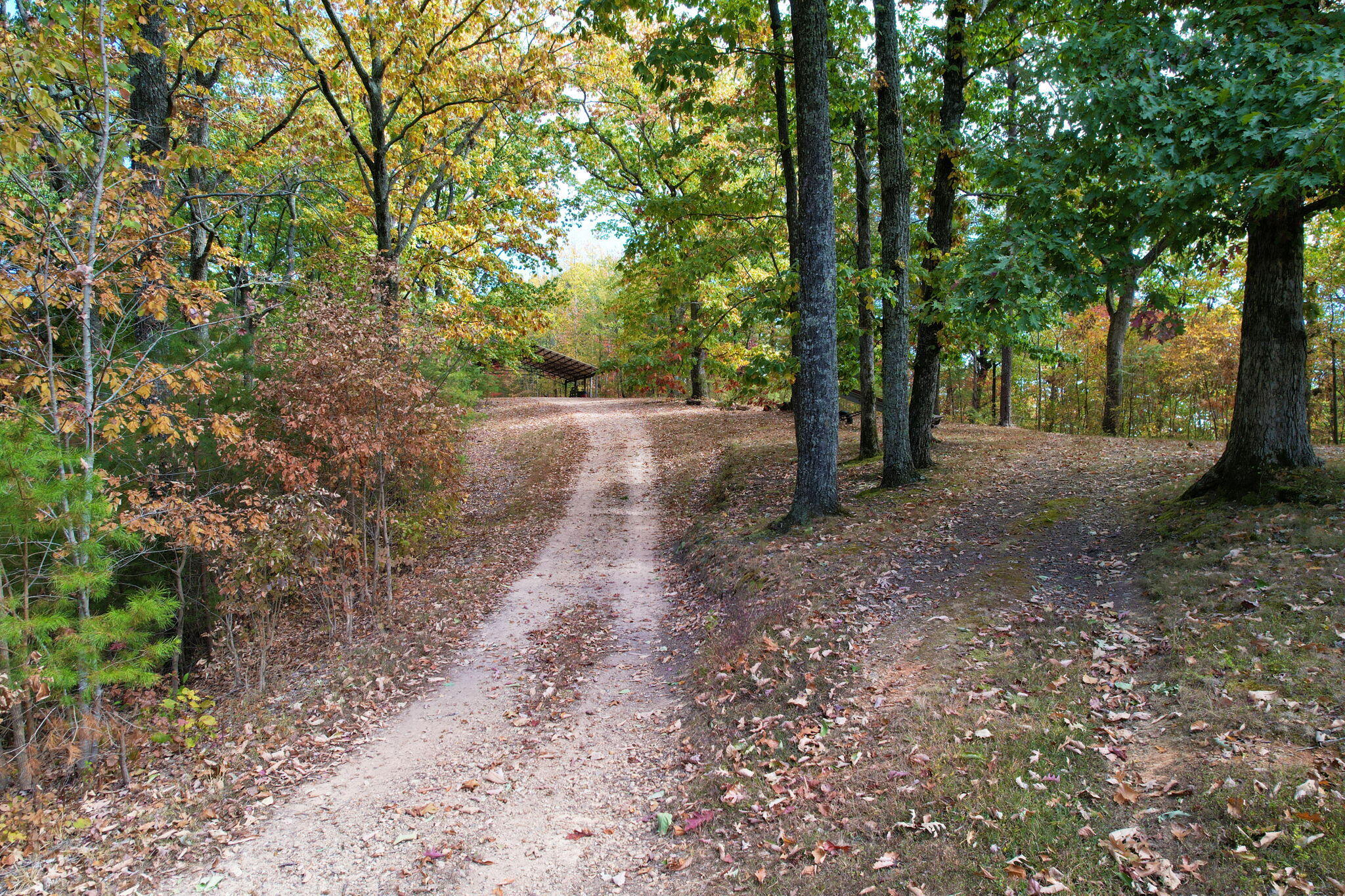 466 Hays Hollow Road Flintstone, GA 30725 - Photo 41 of 51 15-web-or-mls-DJI_0522