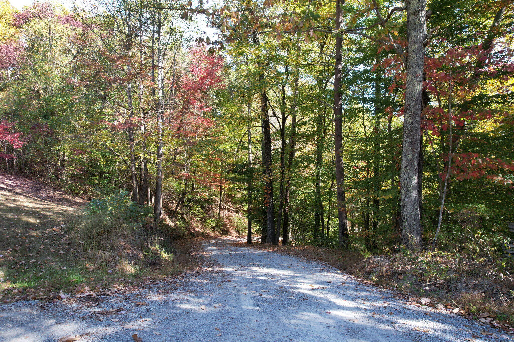 466 Hays Hollow Road Flintstone, GA 30725 - Photo 44 of 51 3-web-or-mls-DJI_0507