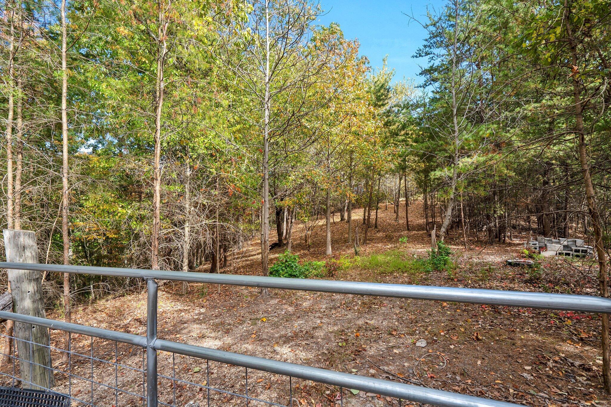 466 Hays Hollow Road Flintstone, GA 30725 - Photo 46 of 51 59-web-or-mls-DSC00268