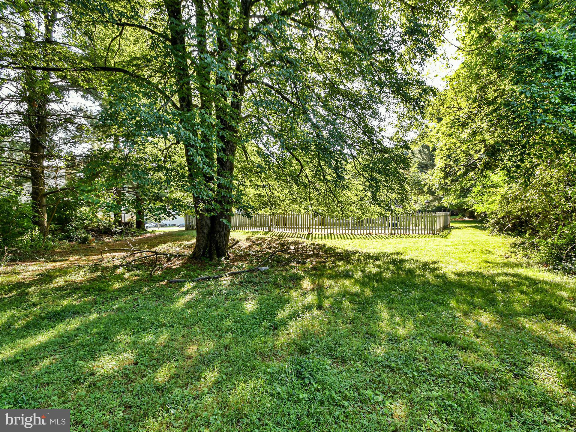 21 Windmill Court Silver Spring, MD 20905 - Photo 57 of 61 Gallery Image 57