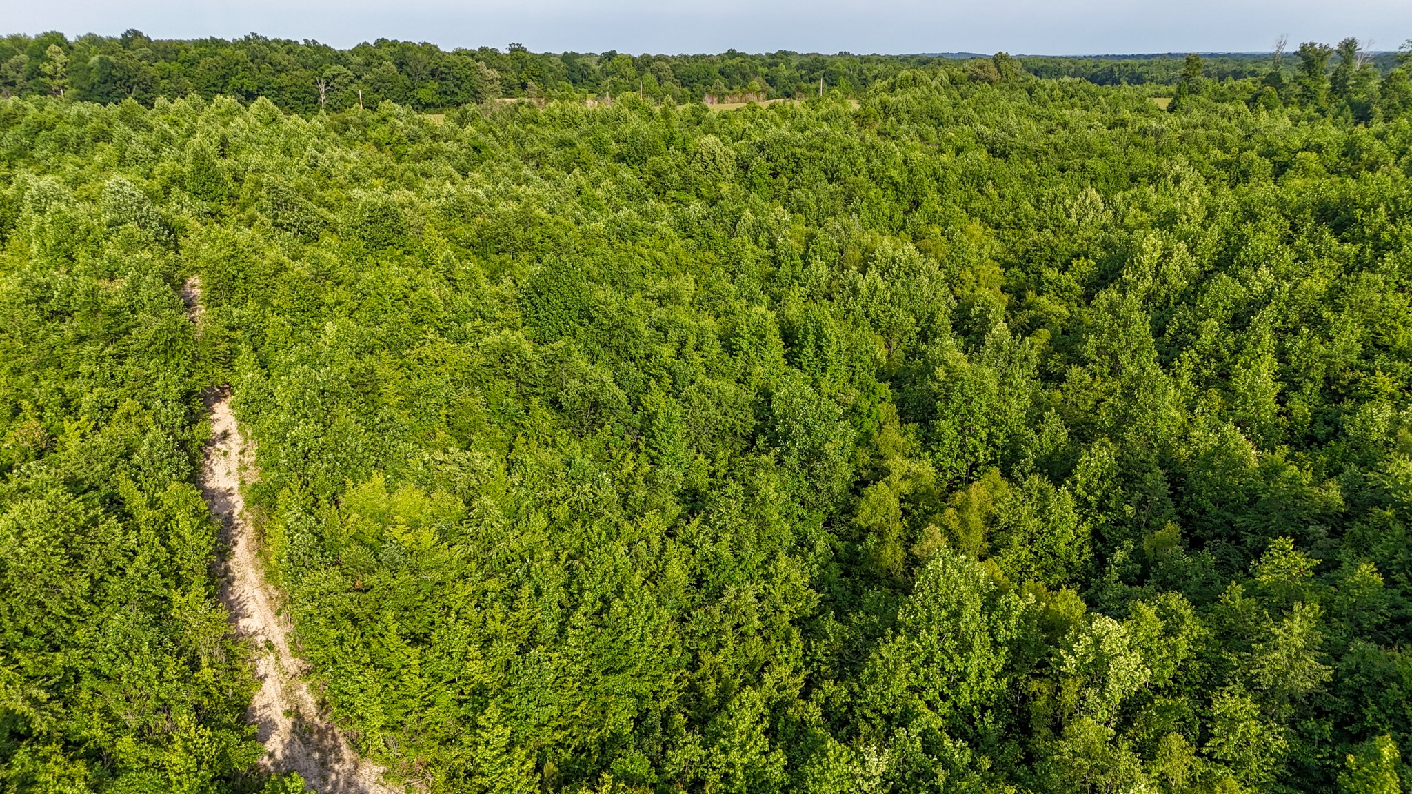 0 Mcadams Road Greenfield, TN 38230 - Photo 9 of 25