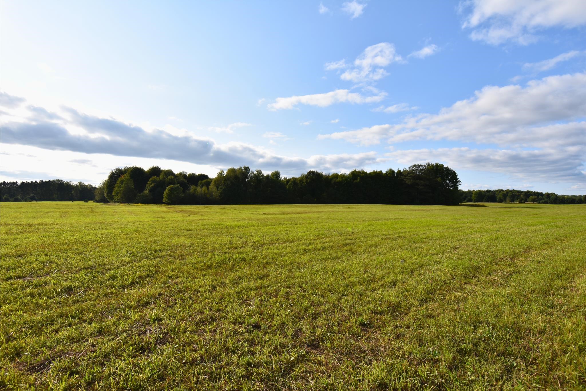 4190 Ford Road Glennie, MI 48737 - Photo 36 of 45
