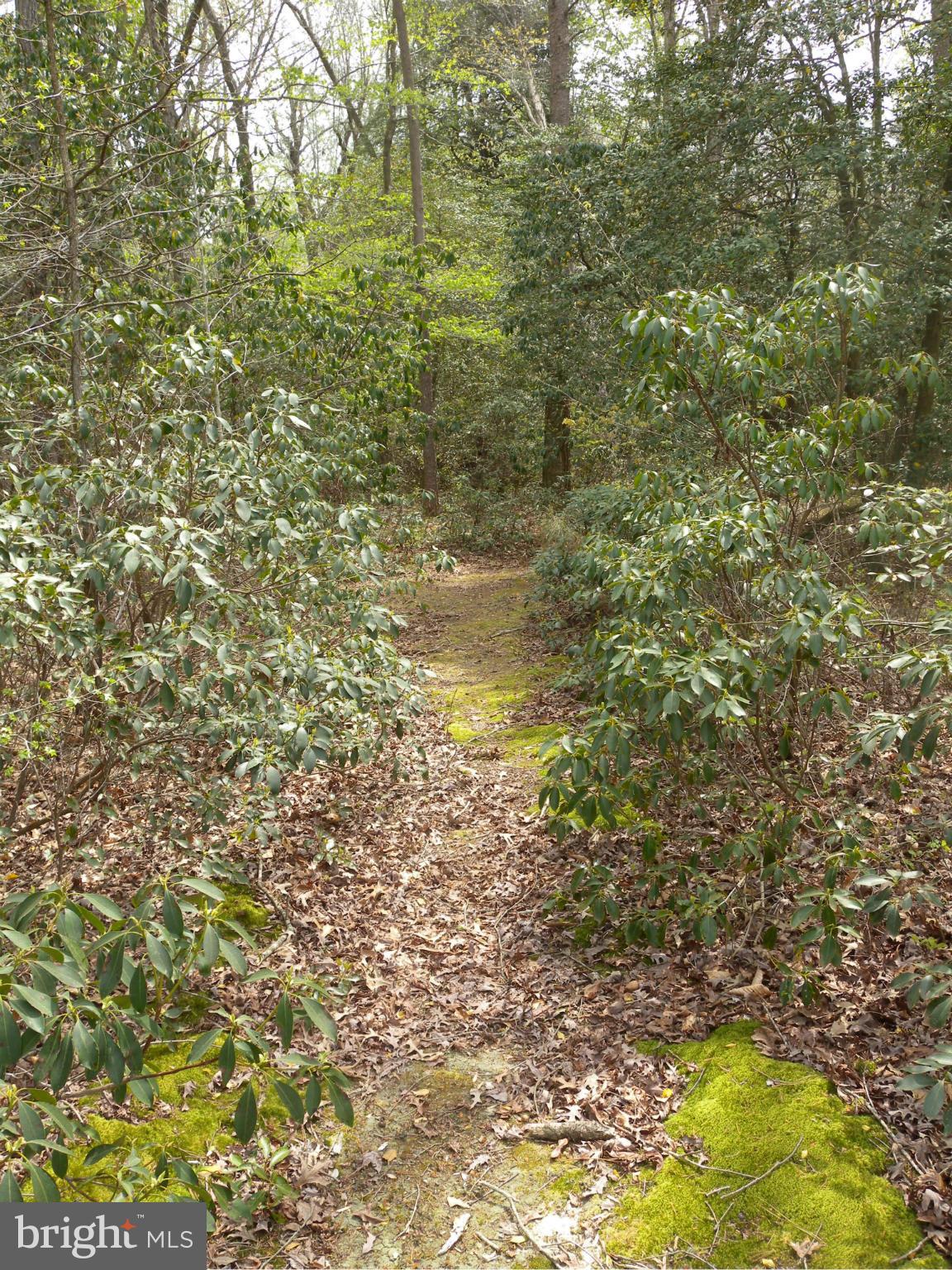 Statum Road Denton, MD 21629 - Photo 2 of 12 View