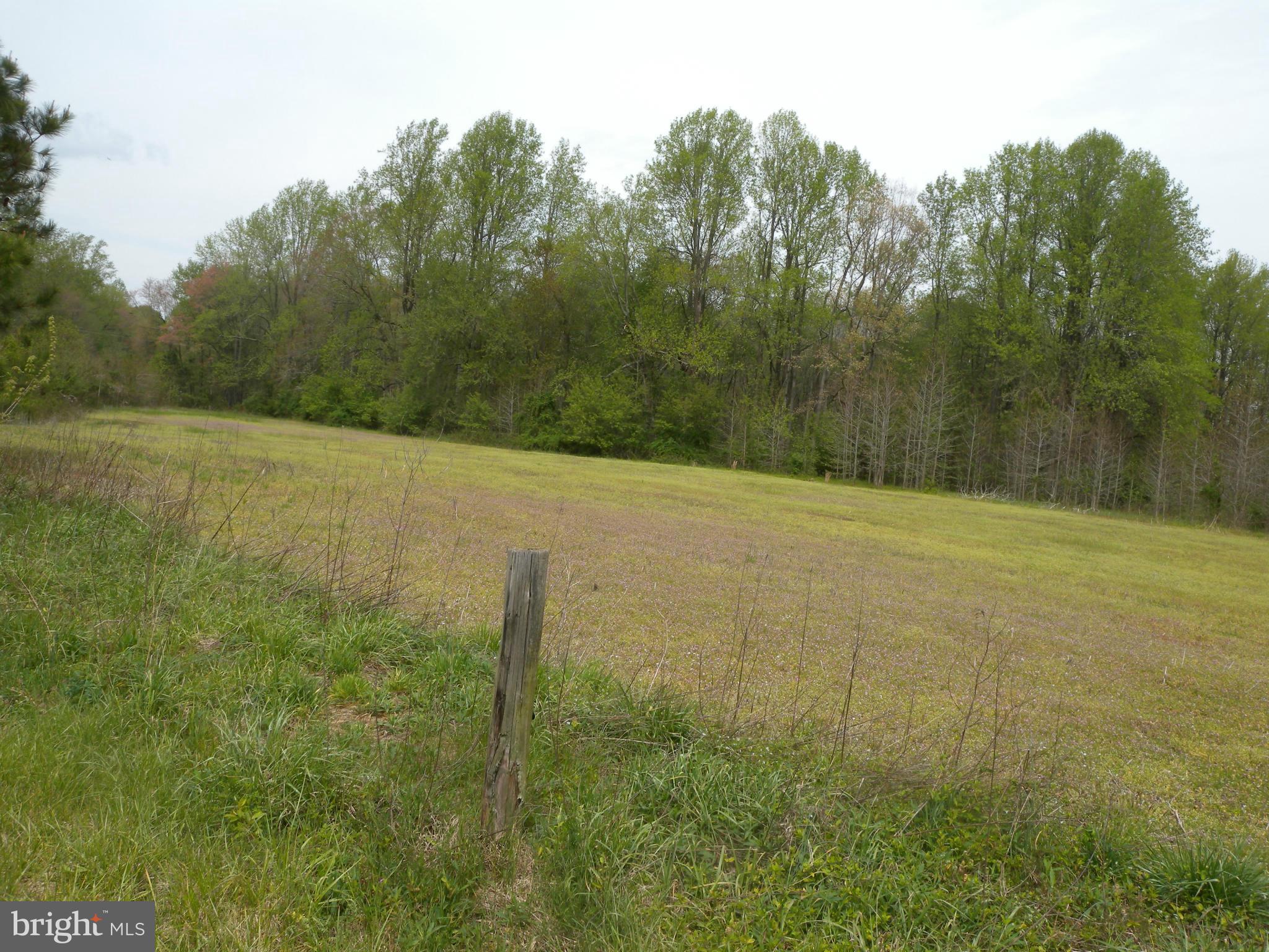 Statum Road Denton, MD 21629 - Photo 11 of 12 View