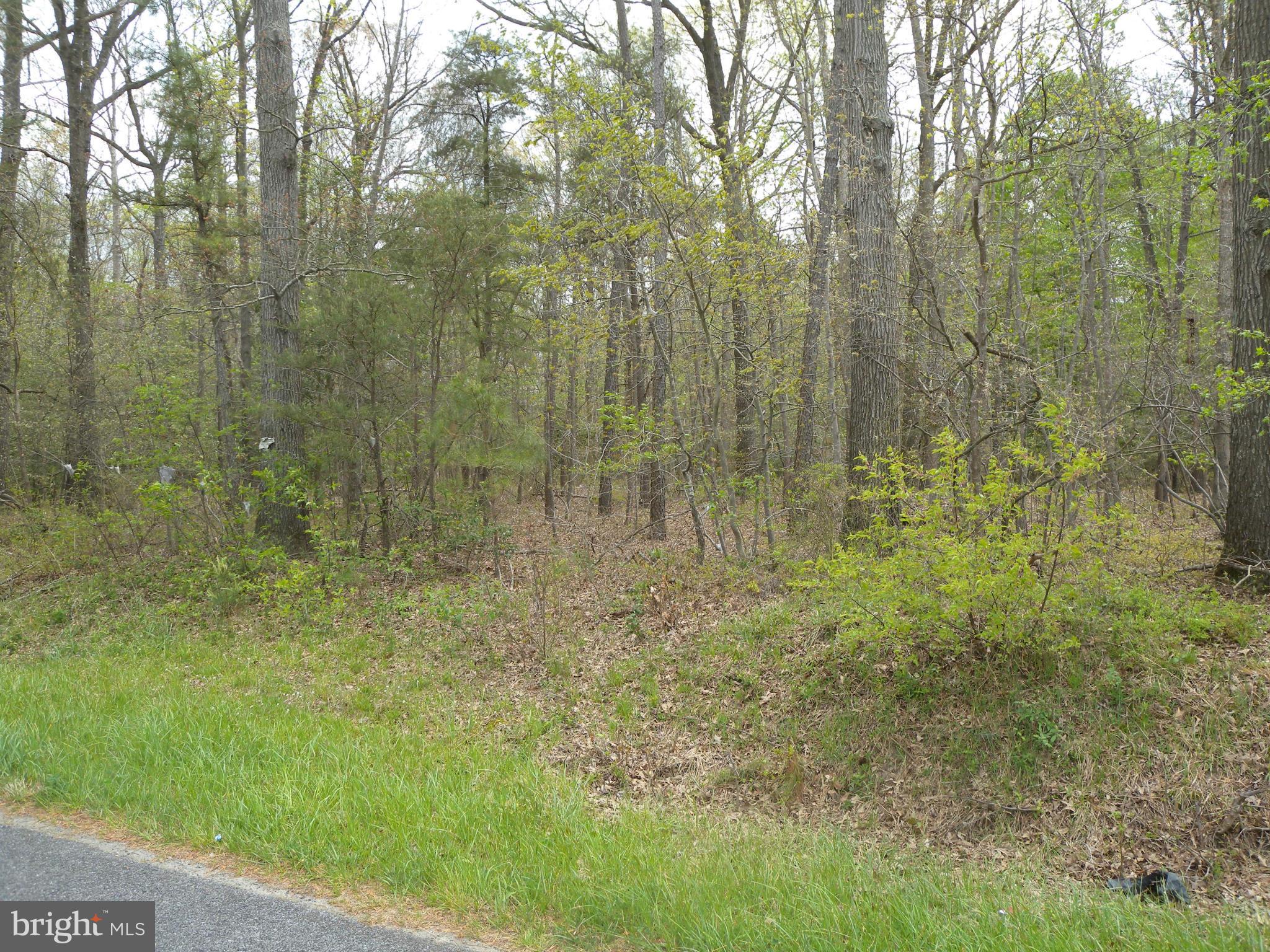 Statum Road Denton, MD 21629 - Photo 12 of 12 View