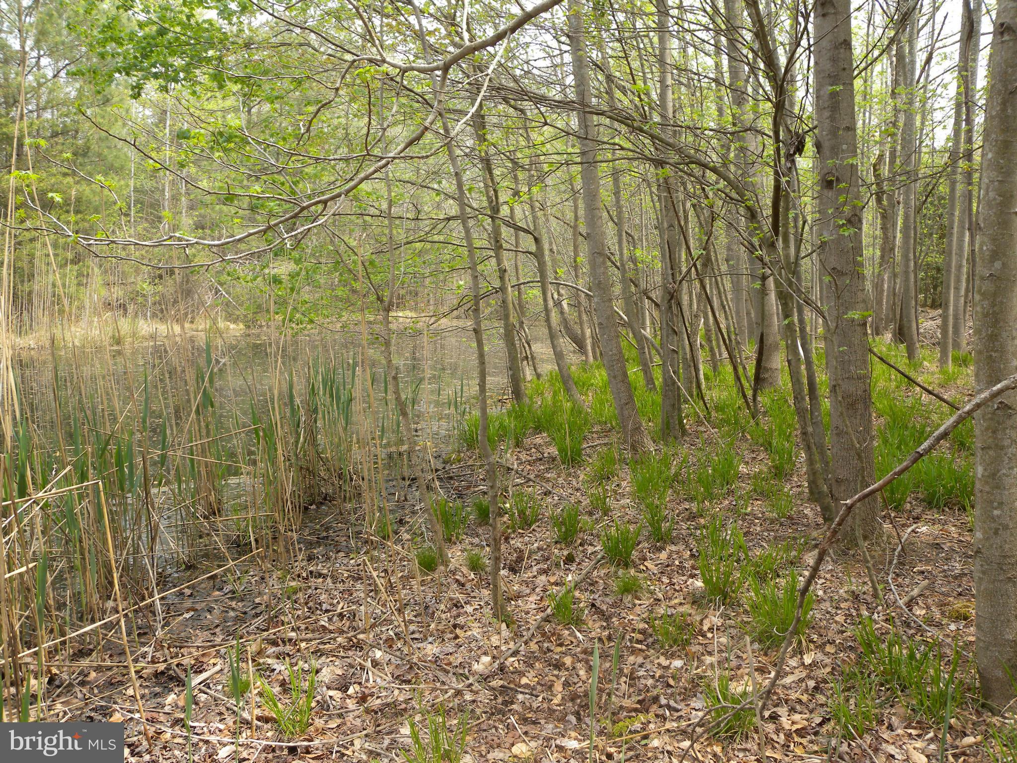 Statum Road Denton, MD 21629 - Photo 7 of 12 View