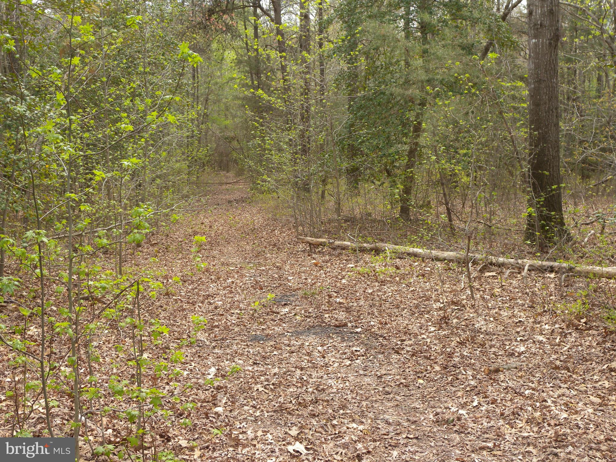 Statum Road Denton, MD 21629 - Photo 8 of 12 View