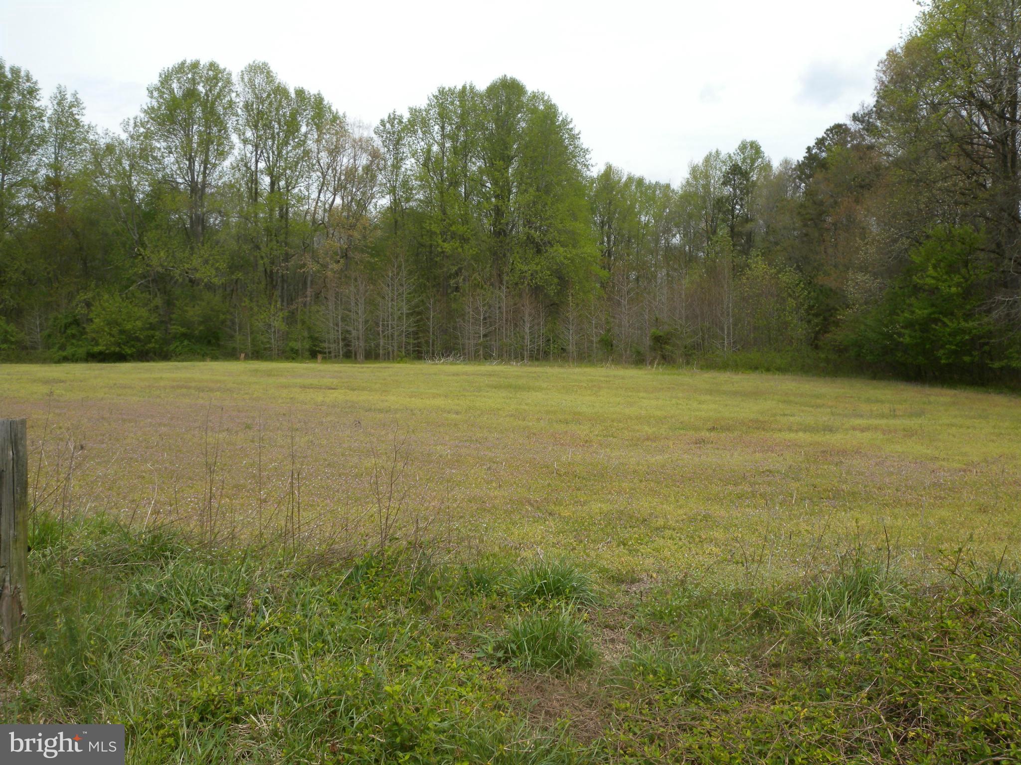Statum Road Denton, MD 21629 - Photo 10 of 12 View