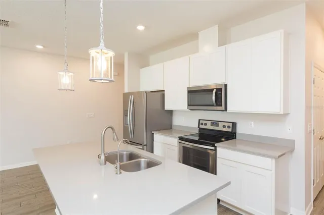 $3,000 | 1119 Lady Gouldian Court, Tampa, FL 33613