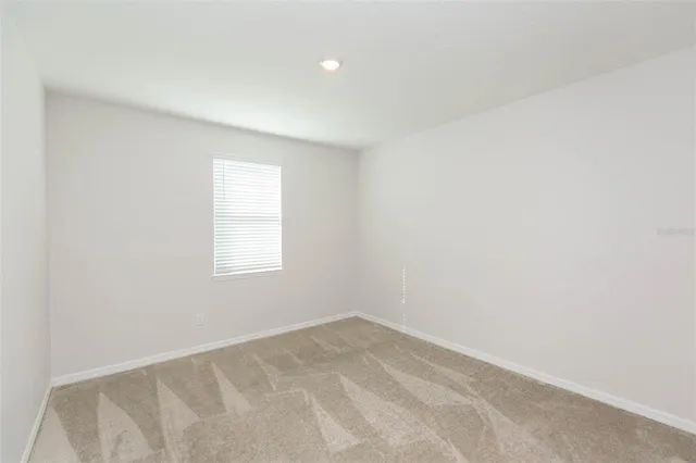 $3,000 | 1119 Lady Gouldian Court, Tampa, FL 33613