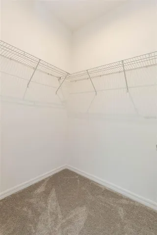 $3,000 | 1119 Lady Gouldian Court, Tampa, FL 33613