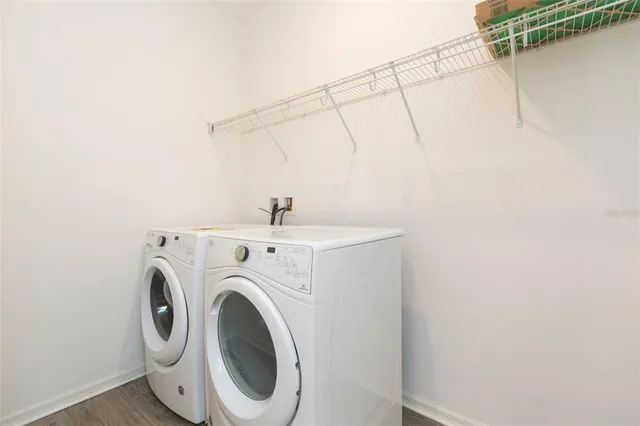 $3,000 | 1119 Lady Gouldian Court, Tampa, FL 33613