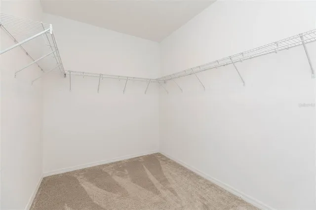 $3,000 | 1119 Lady Gouldian Court, Tampa, FL 33613