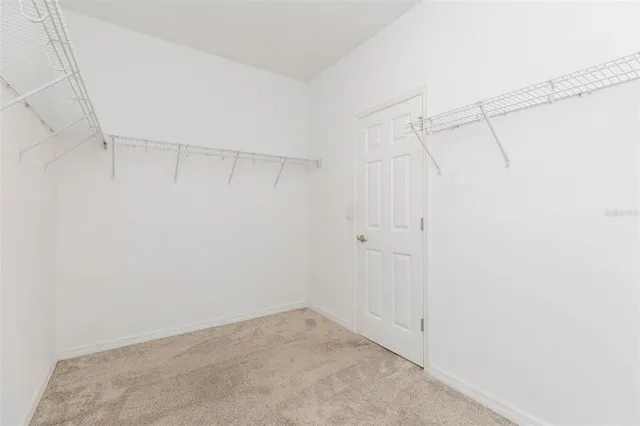 $3,000 | 1119 Lady Gouldian Court, Tampa, FL 33613