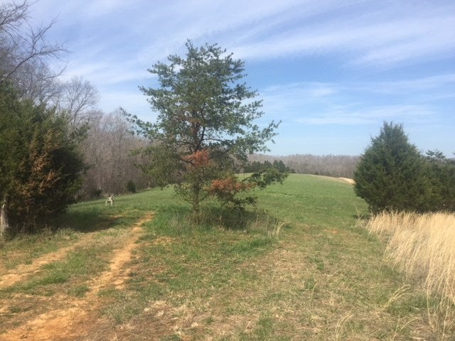 9999 Independence Ridge Road Breeding, KY 42715 - Photo 6 of 16 Gallery Image 6