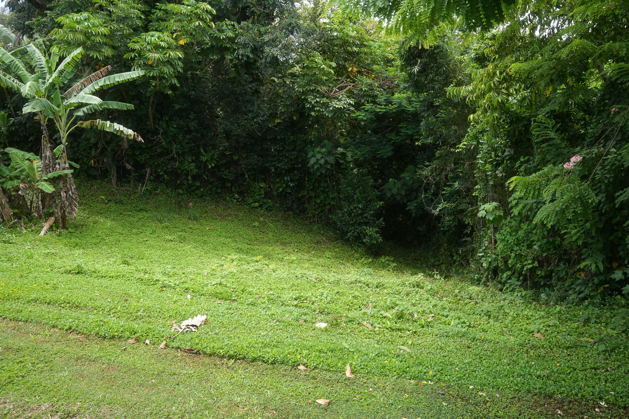 6396 Kalama Road Kapaa, HI 96746 - Photo 8 of 14 Gallery Image 8