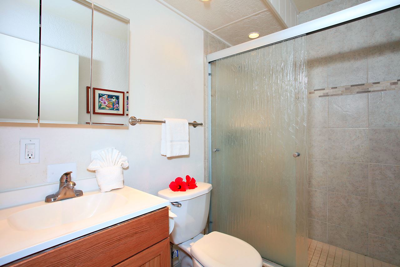 3975 Lower Honoapiilani Road, Unit 103 Lahaina, HI 96761 - Photo 17 of 30 Gallery Image 17