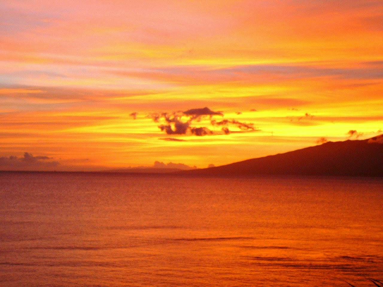 3975 Lower Honoapiilani Road, Unit 103 Lahaina, HI 96761 - Photo 30 of 30 Gallery Image 30